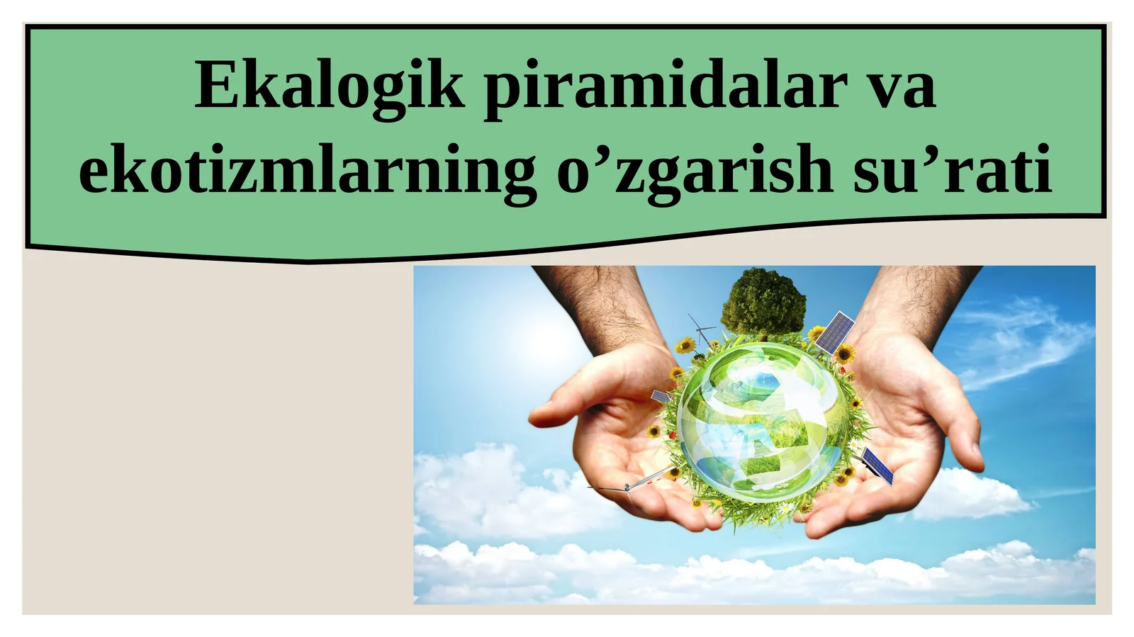 Ekologik piramidalar va ekotizmlarning o’zgarish su’rati