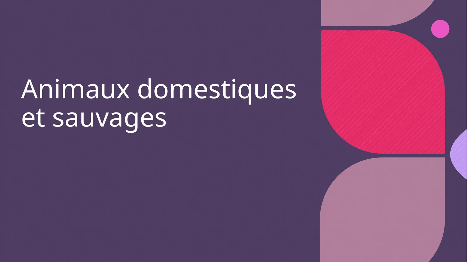 Animaux domestiques et sauvages