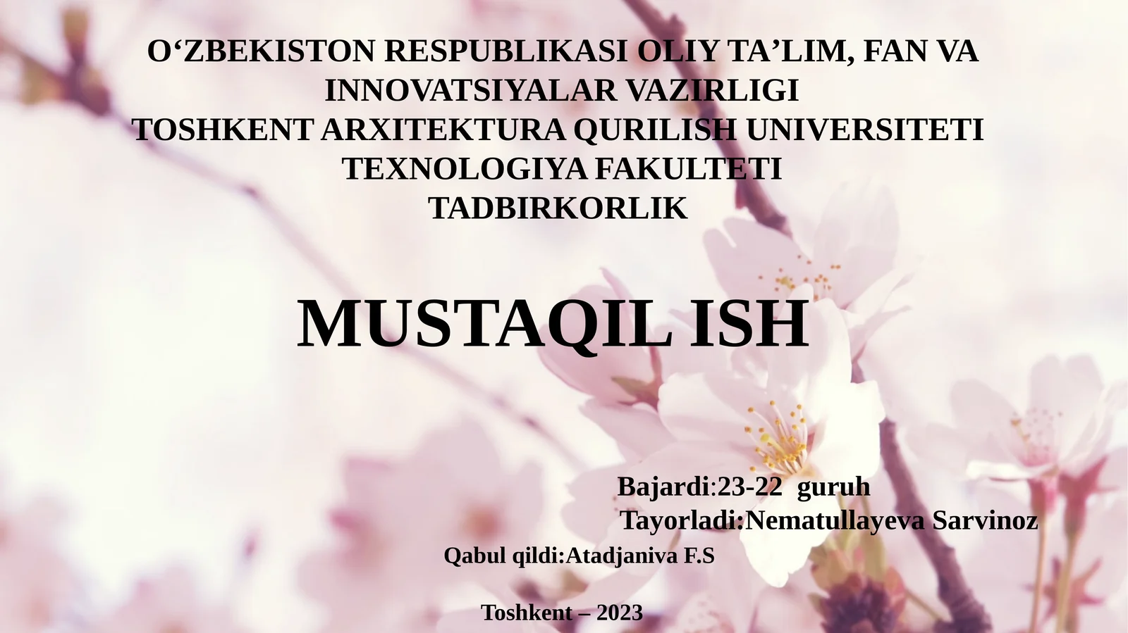Tadbirkorlikni rivojlantirishning xorijiy tajribalari