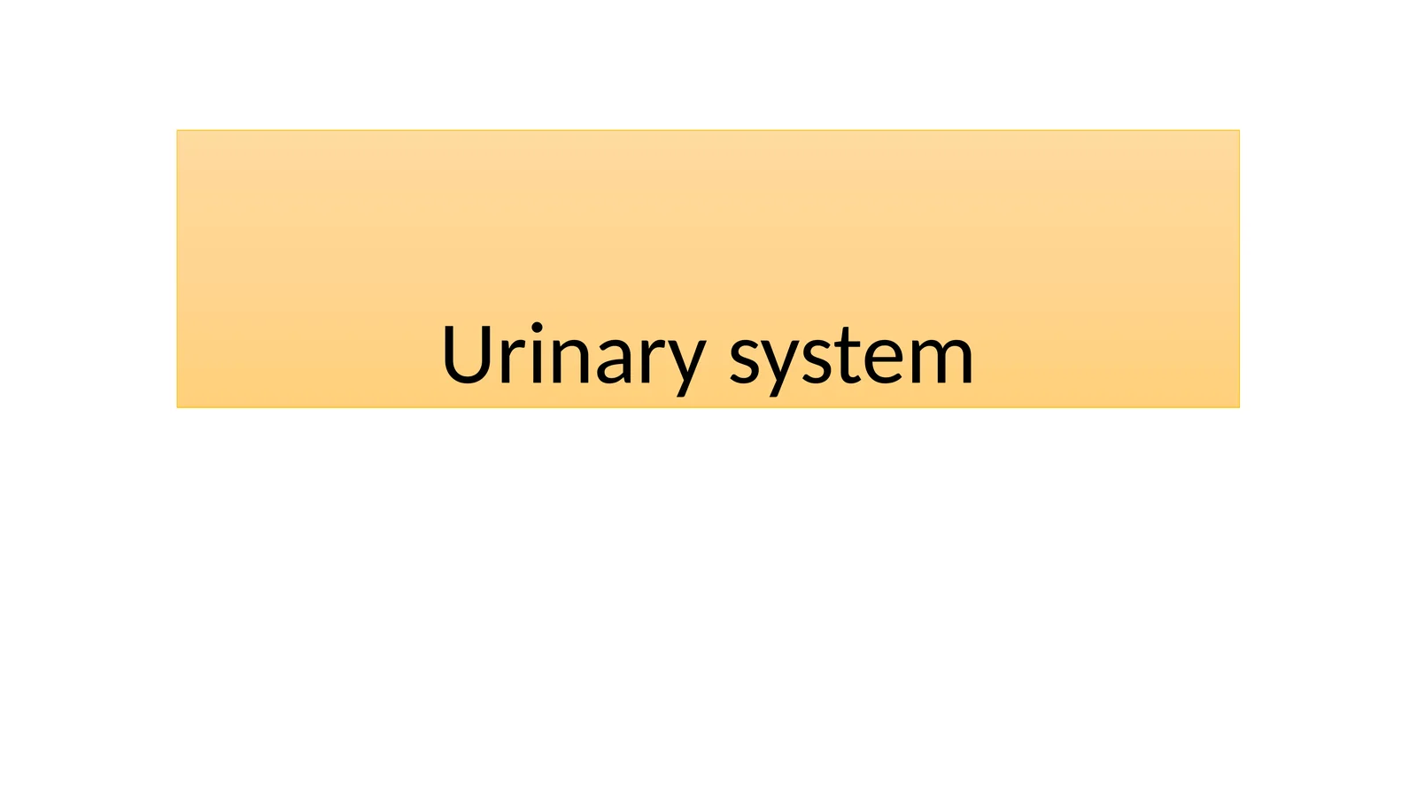 Urinary system histology