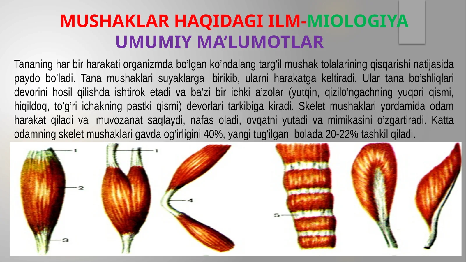 Mushaklar haqida ilm-MIOLOGIYA Umumiy ma’lumotlar