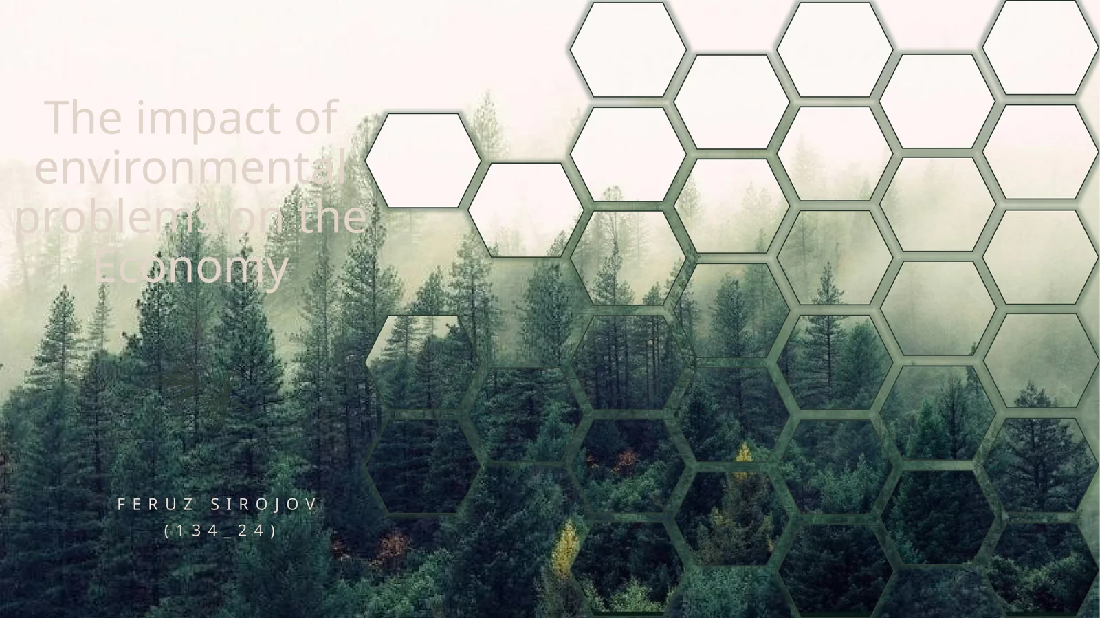 The impact of environmental problems on the Economy