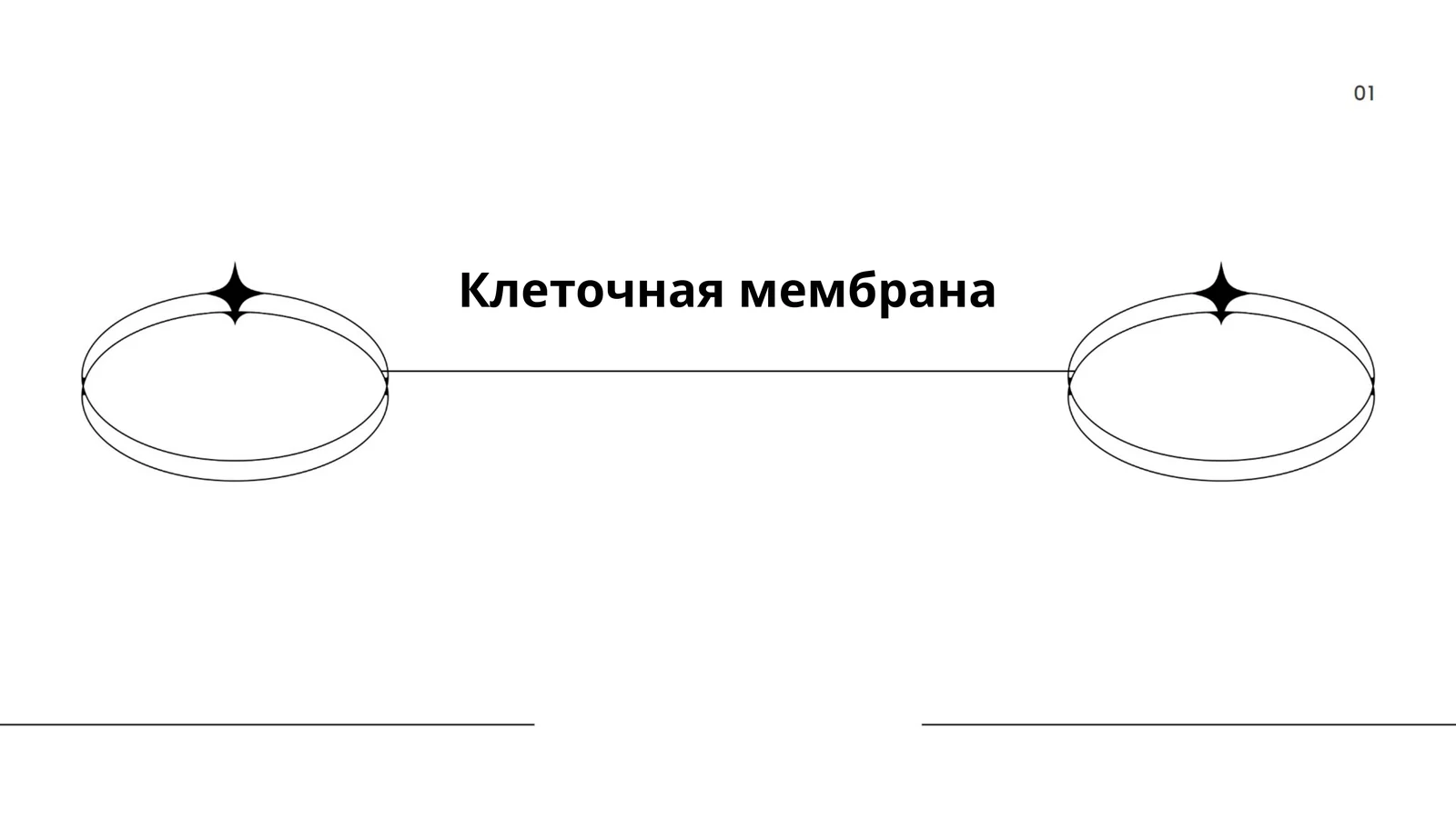Клеточная мембрана