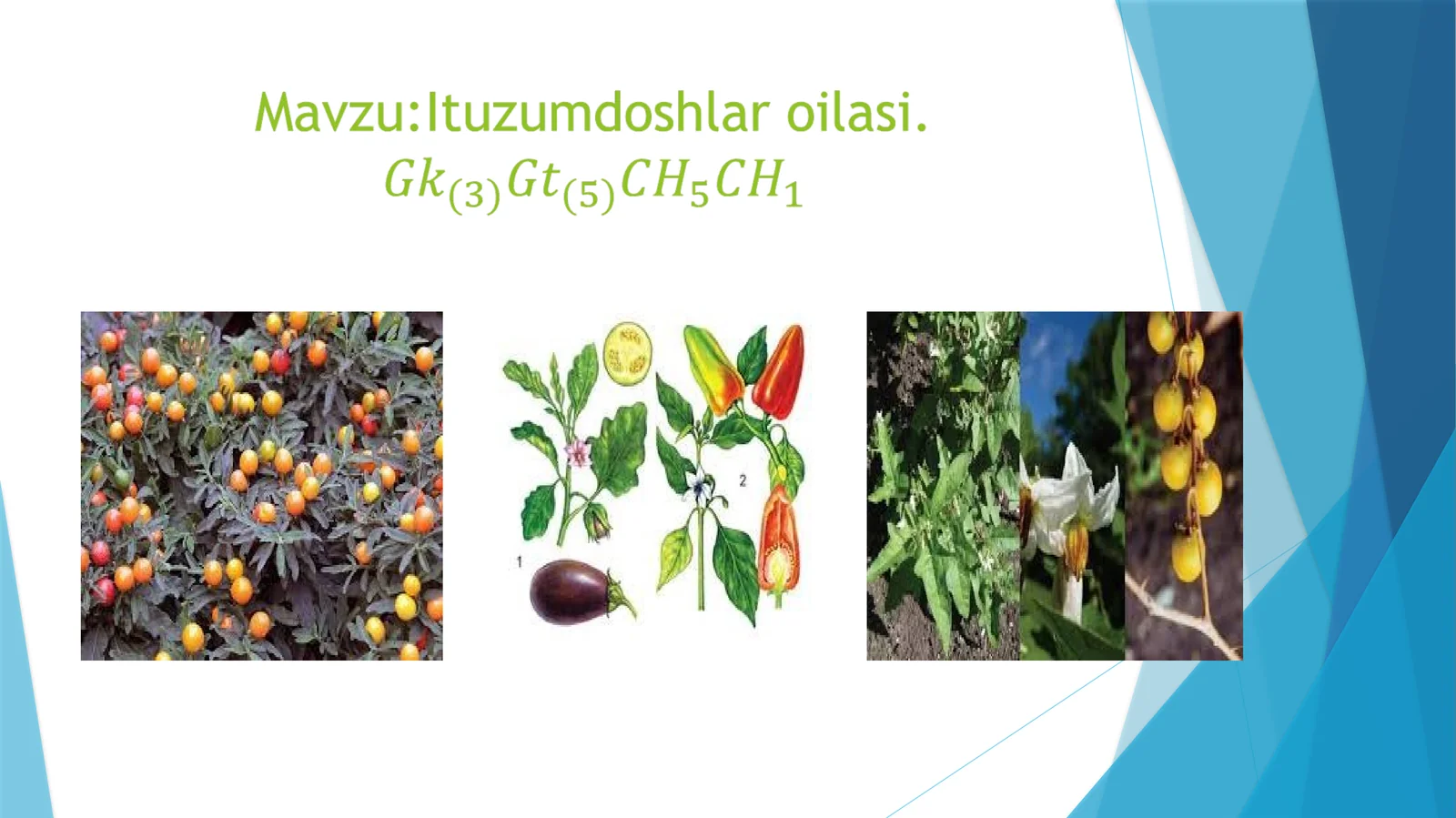 Qoraituzum
