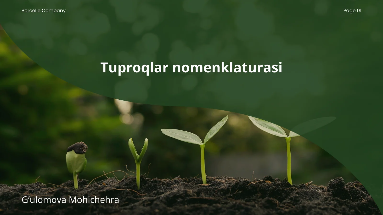 Tuproqlar nomenklaturasi