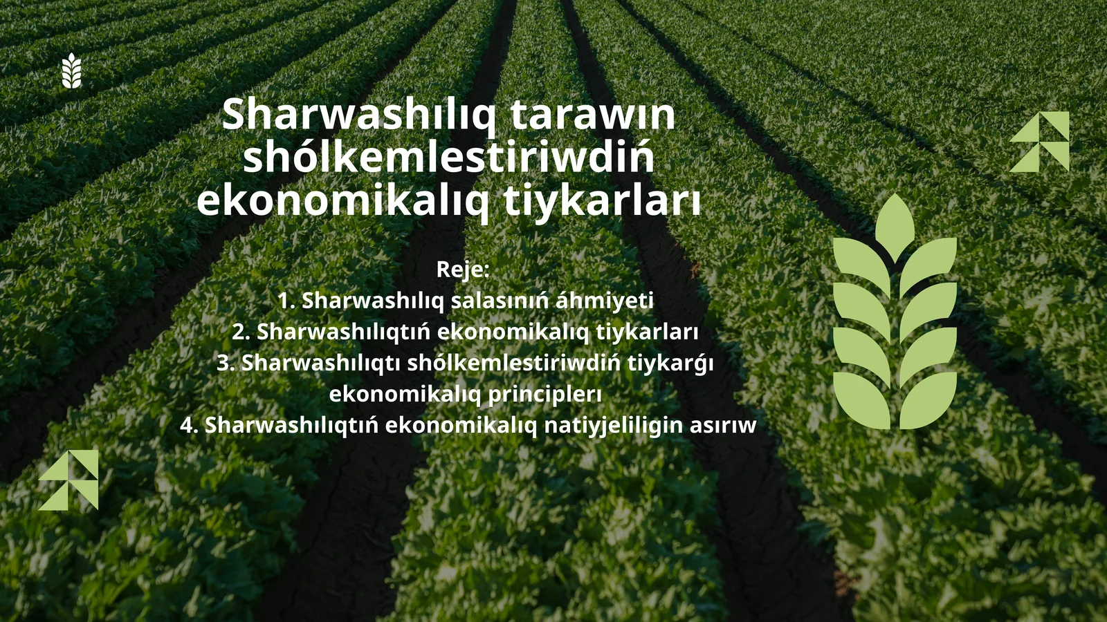 Sharwashılıq tarawın shólkemlestiriwdiń ekonomikalıq tiykarları