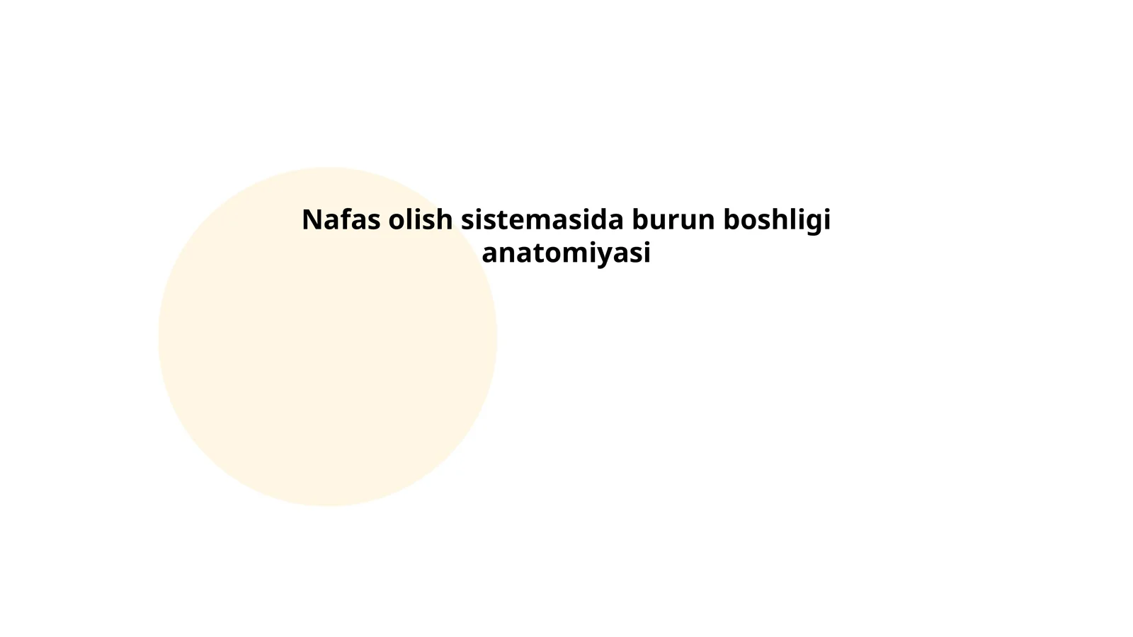 Nafas olish sistemasida burun boshligi anatomiyasi