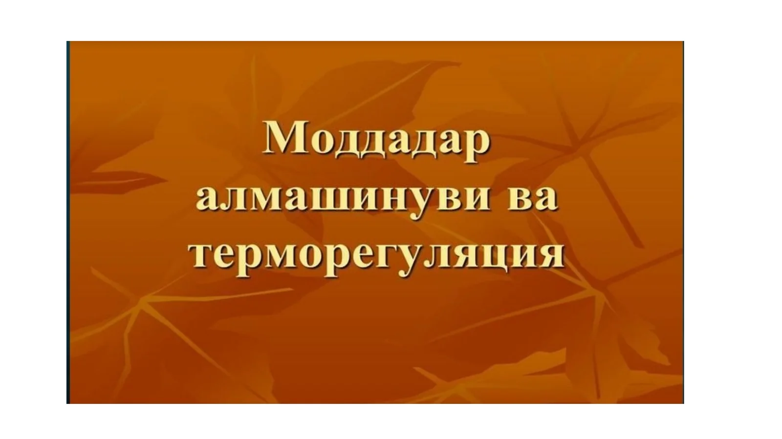 ПЛАСТИК АЛМАШИНУВ