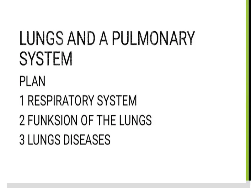 LUNGS AND A PULMONARY SYSTEM