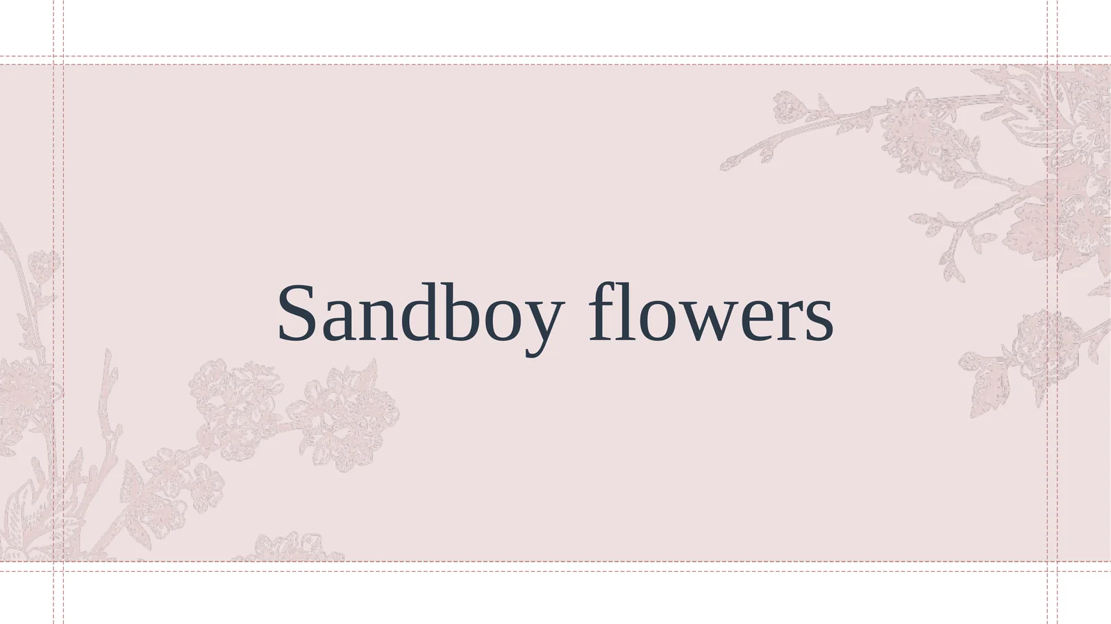 Sandboy flowers Biznes loyiha