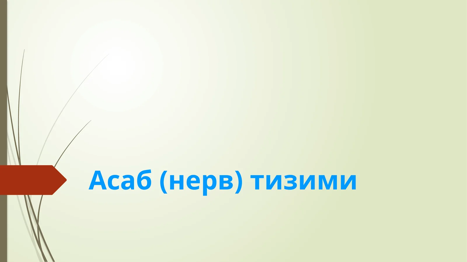 Асаб (нерв) тизими