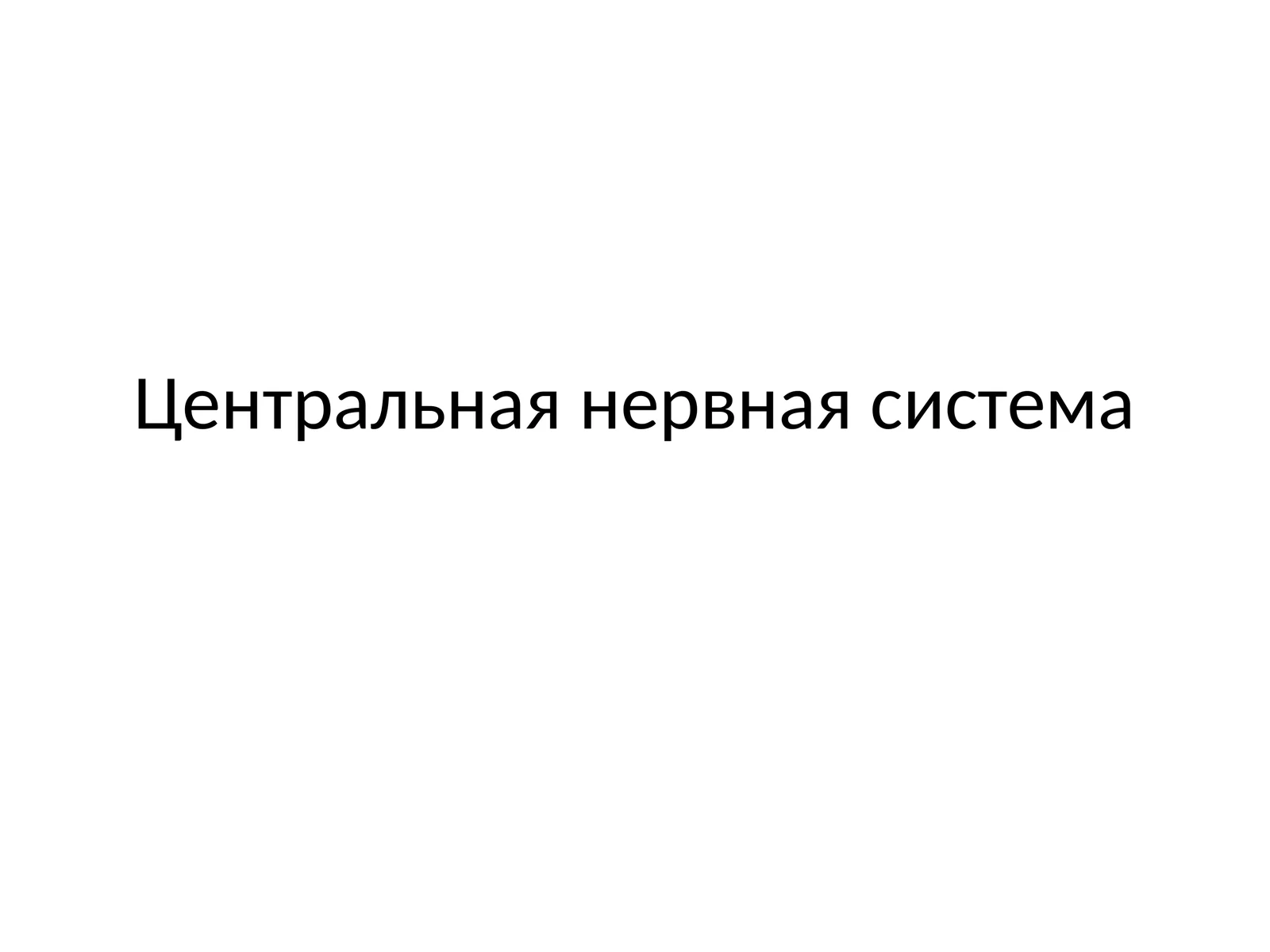 Центральная нервная система