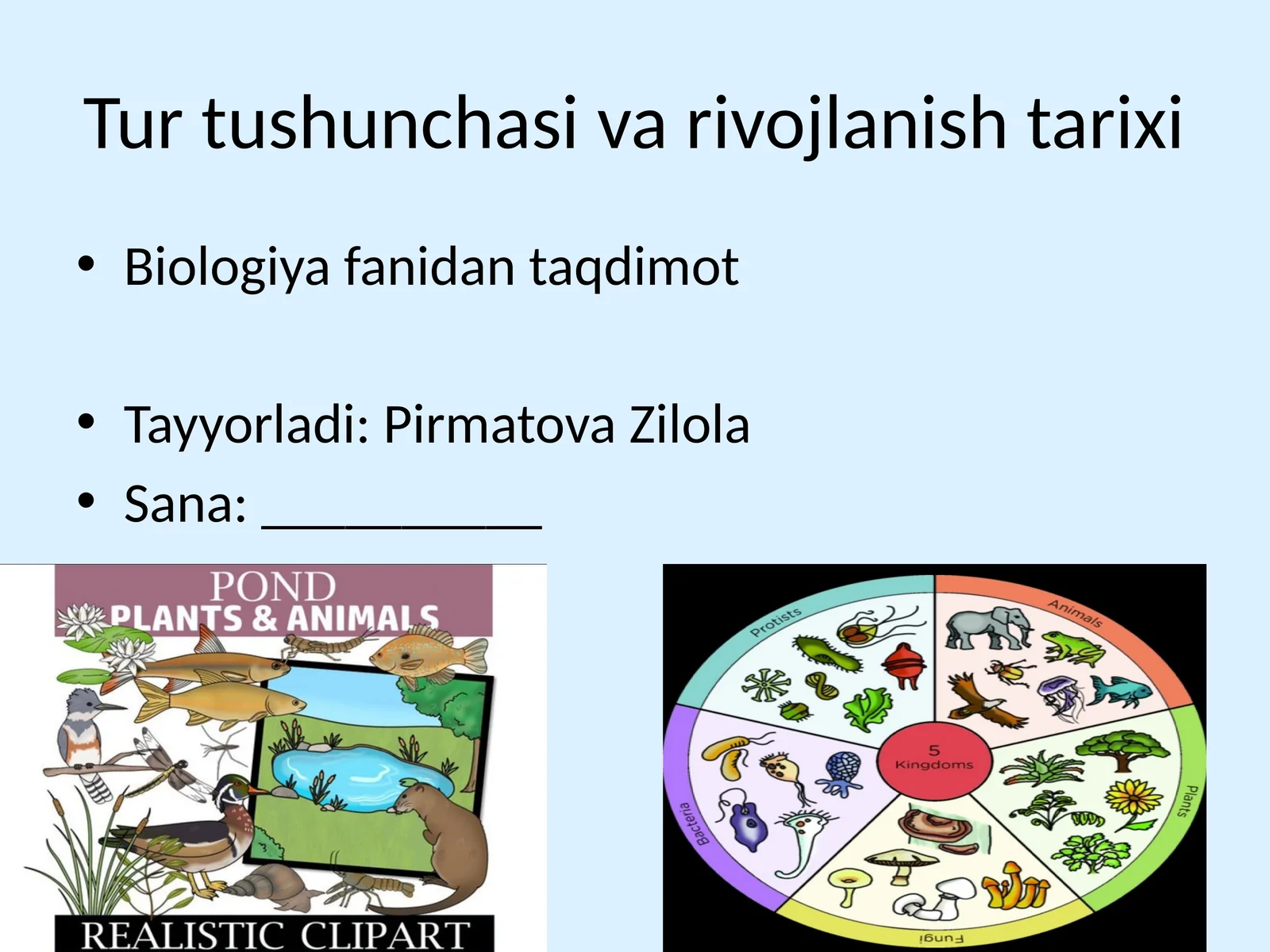 Tur tushunchasi va rivojlanish tarixi