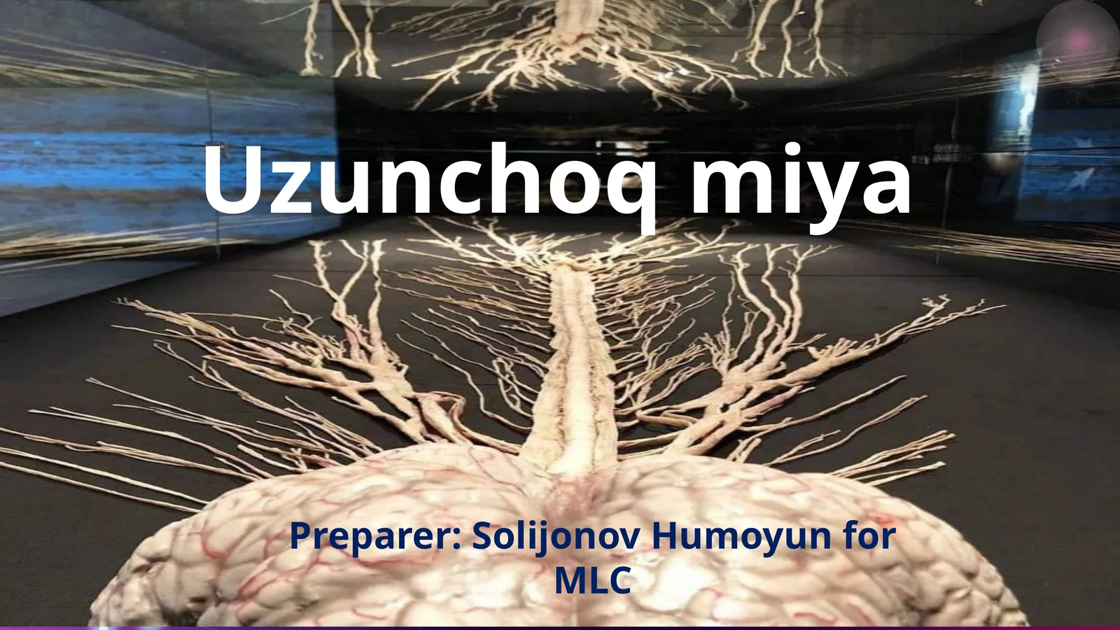 Boshmiyaning rivojlanishi