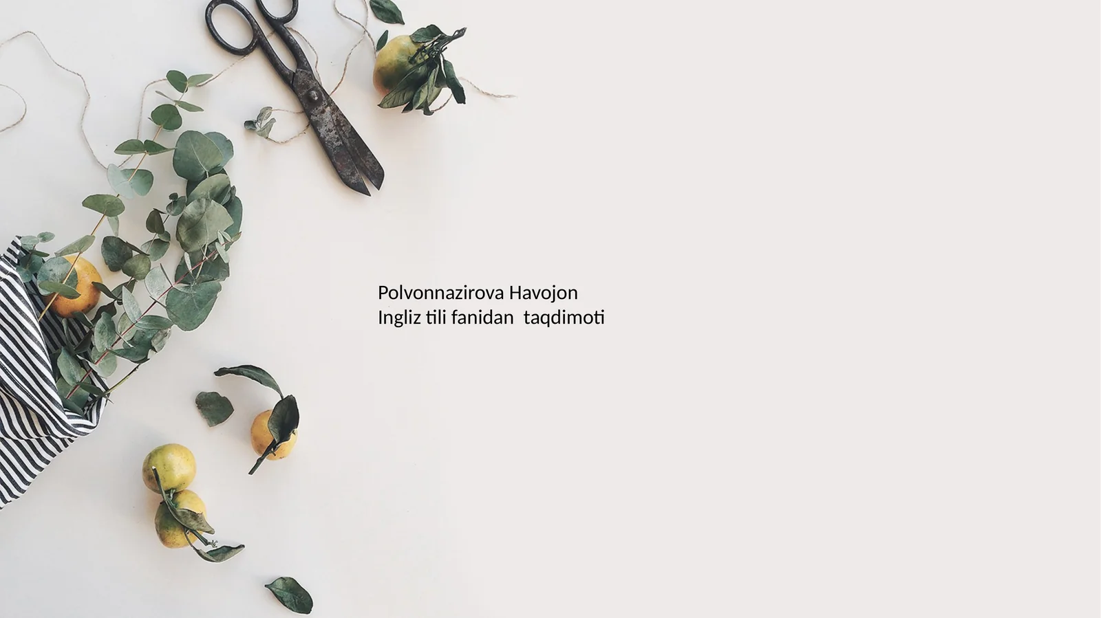 Polvonnazirova Havojon