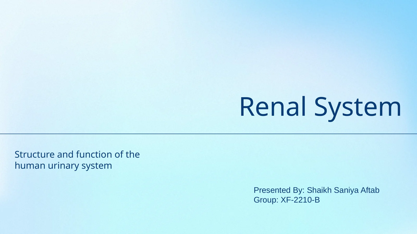 Renal System