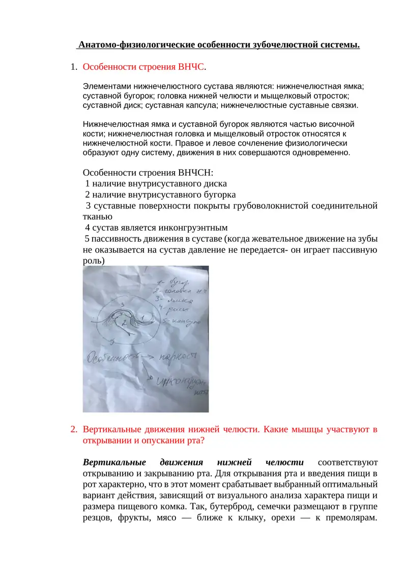 Анатомо-физиологические особенности зубочелюстной системы