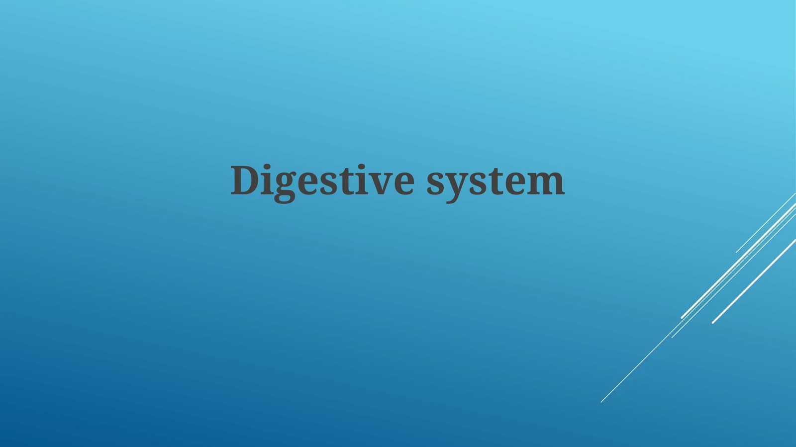 Anatomy and Organs of the Digestive System