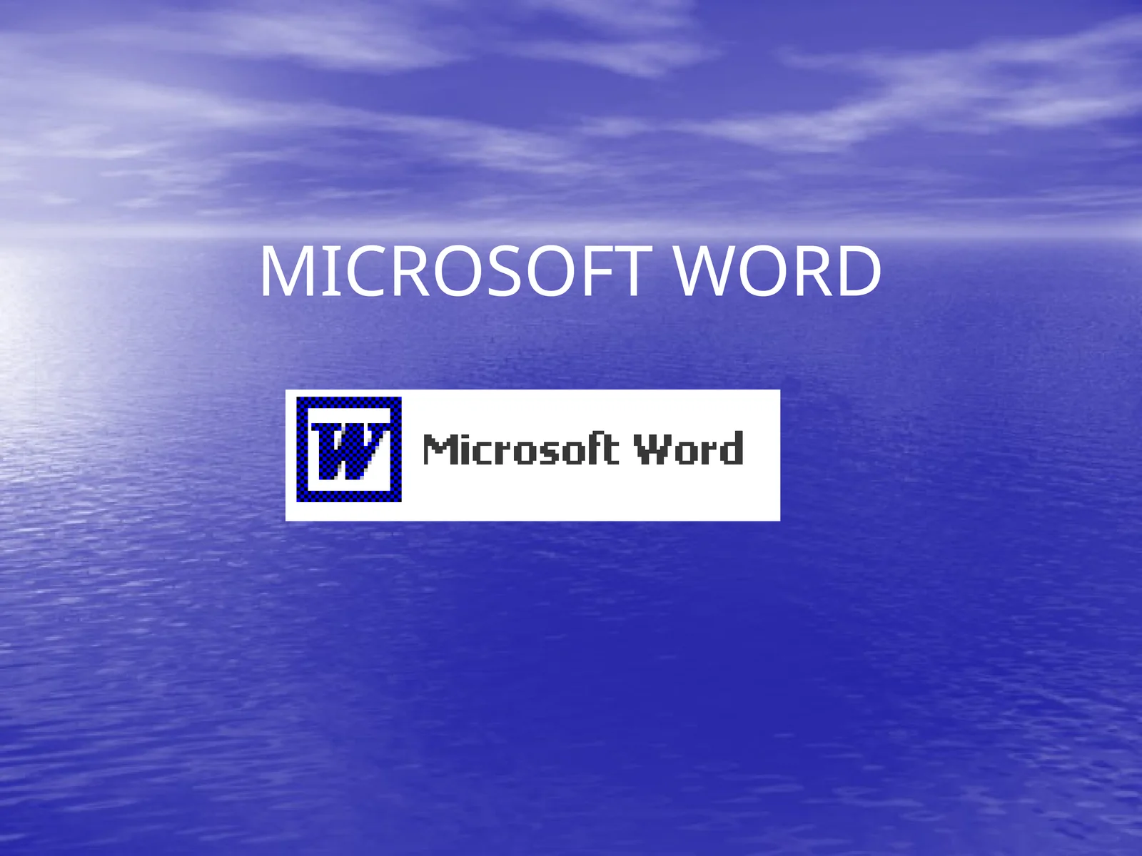 Microsoft Word