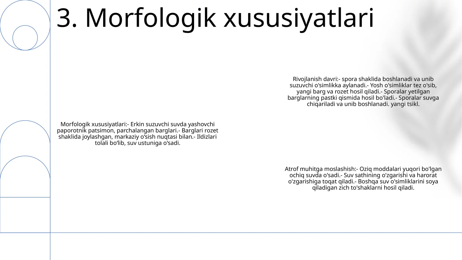 Morfologik xususiyatlari