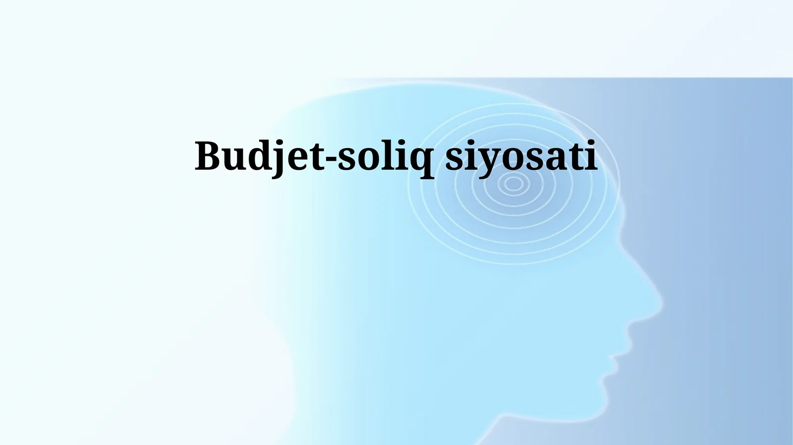 Budjet-soliq siyosati