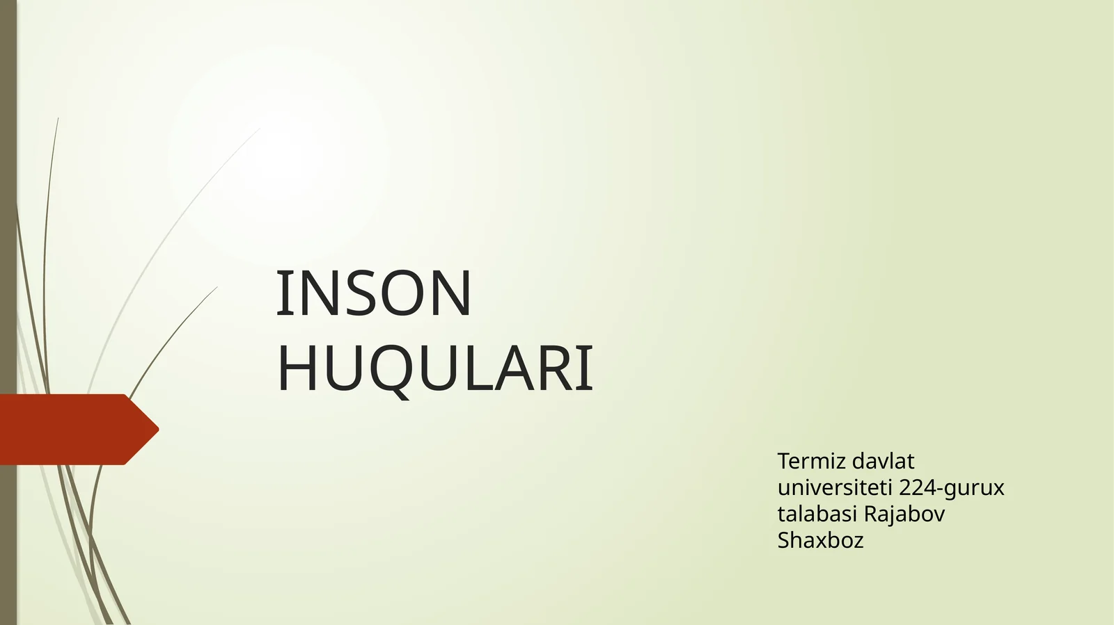 INSON HUQULARI