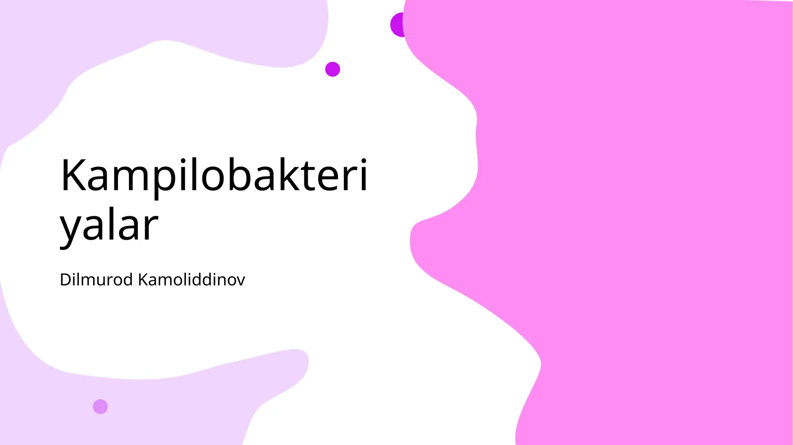 Kampilobakteriyalar