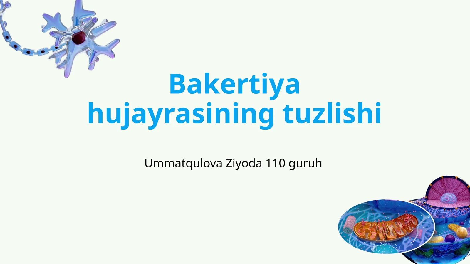 Bakteriyajayrasining tuzilishi