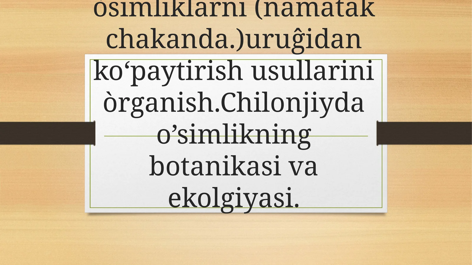 Chilonjiyda, unabi, xitoy xurmosi (Ziziphus Mill.)