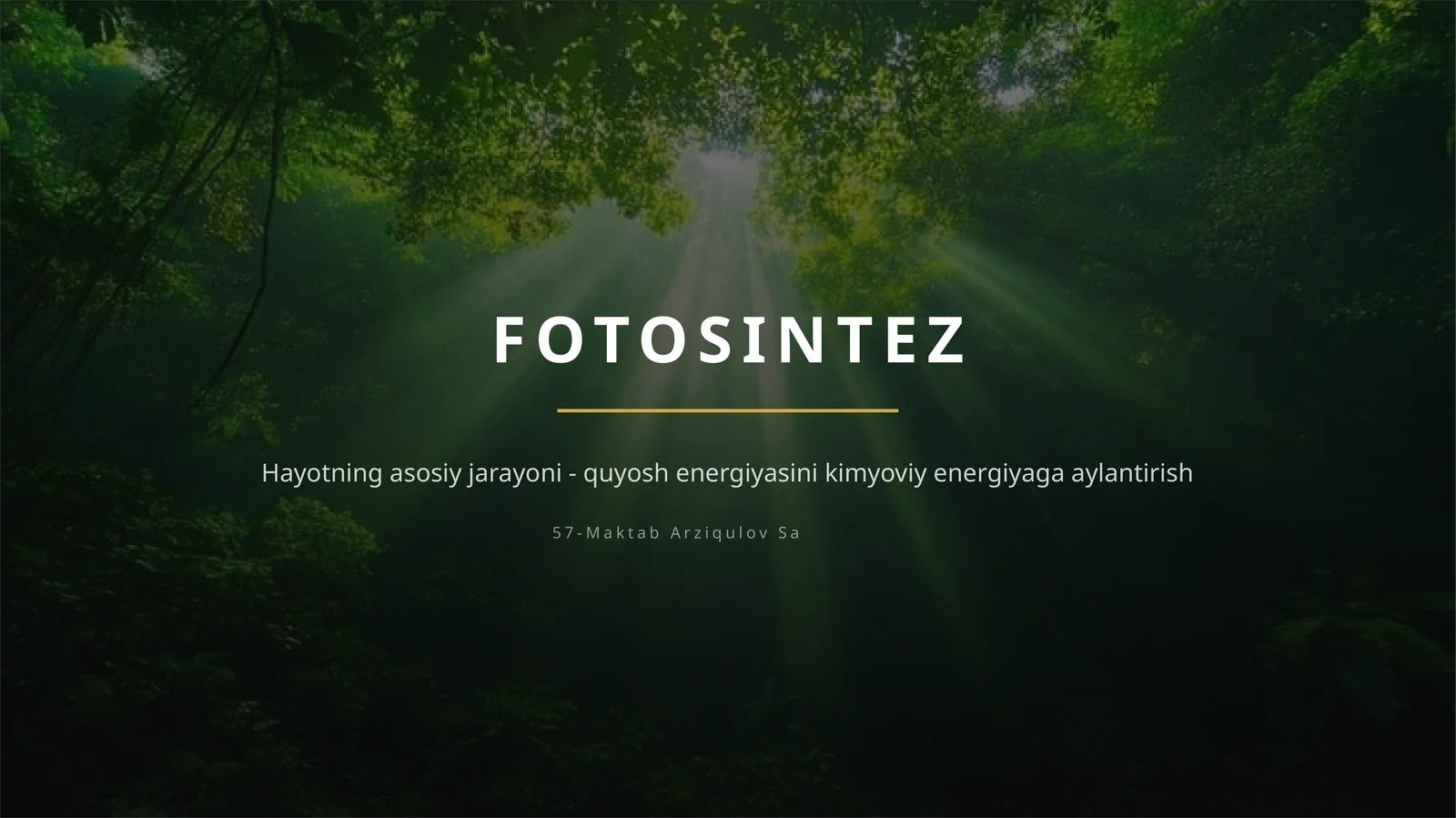 FOTOSINTEZ — TABIATNING ENG BUYUK “ZAVODI”