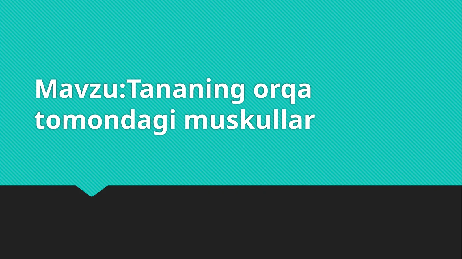 Tananingorqatomondagimuskullar