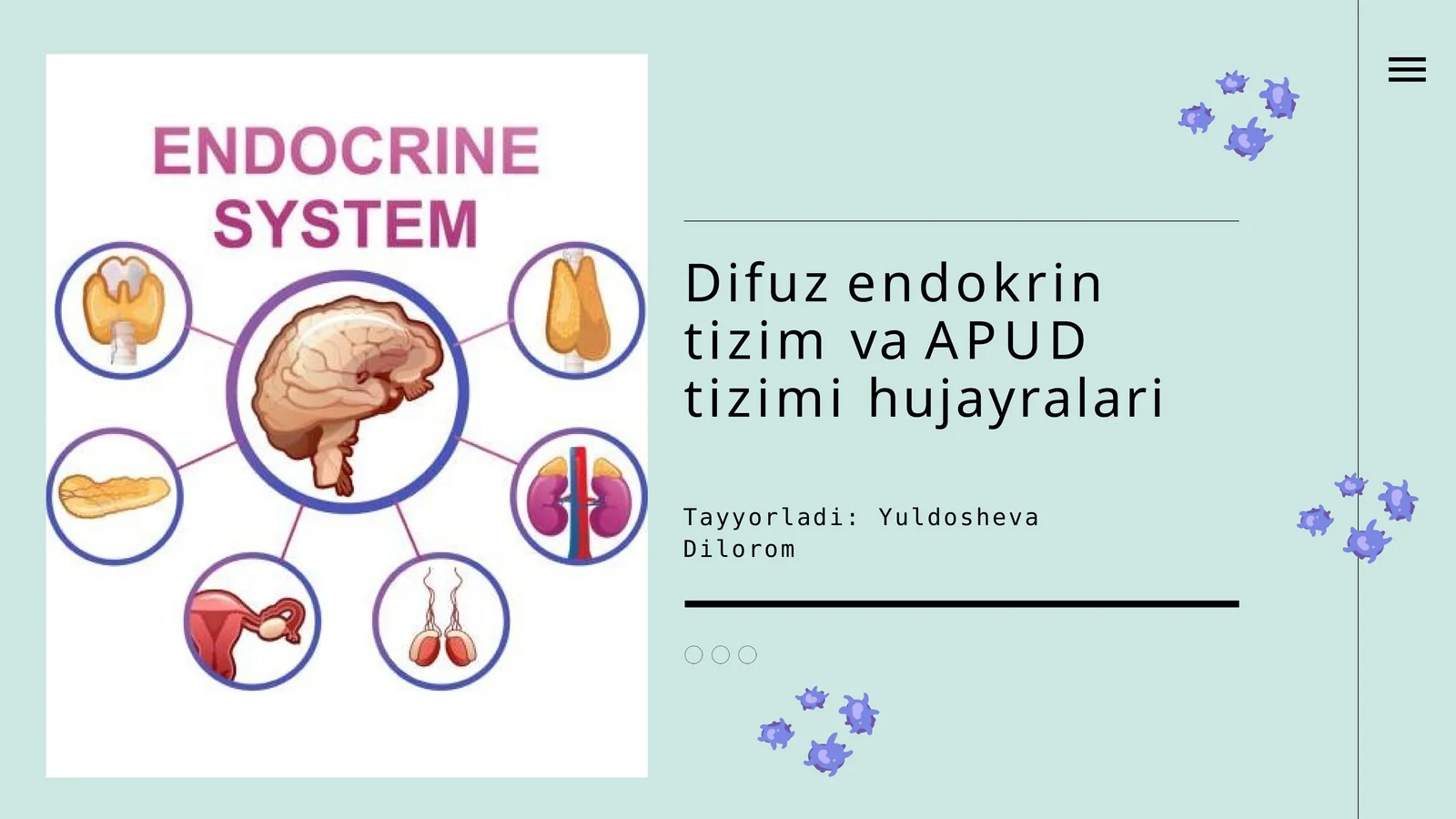 DifuzendokrintizimvaAPUDtizimihujayralari