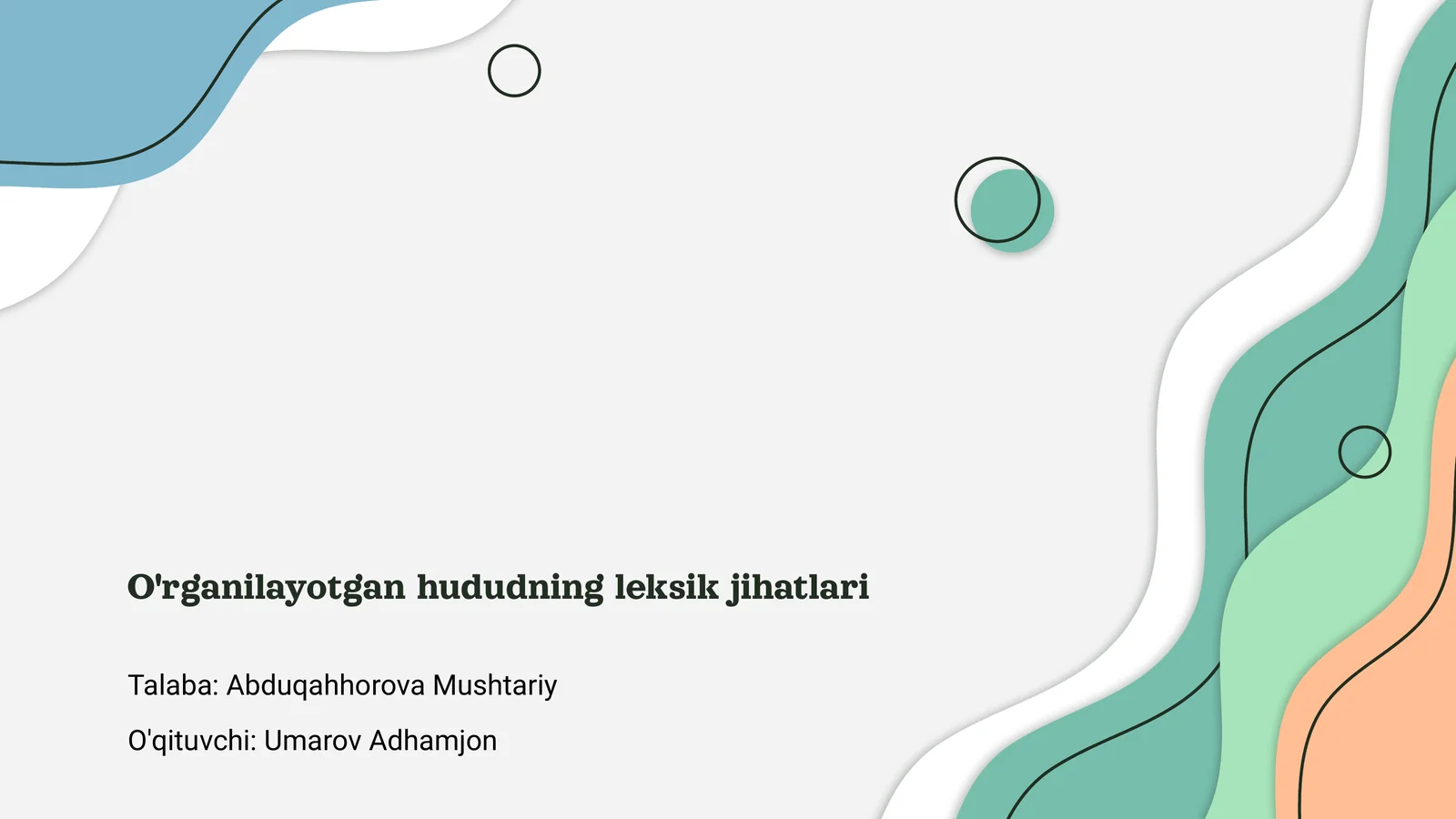 O'rganilayotgan hududning leksik jihatlari