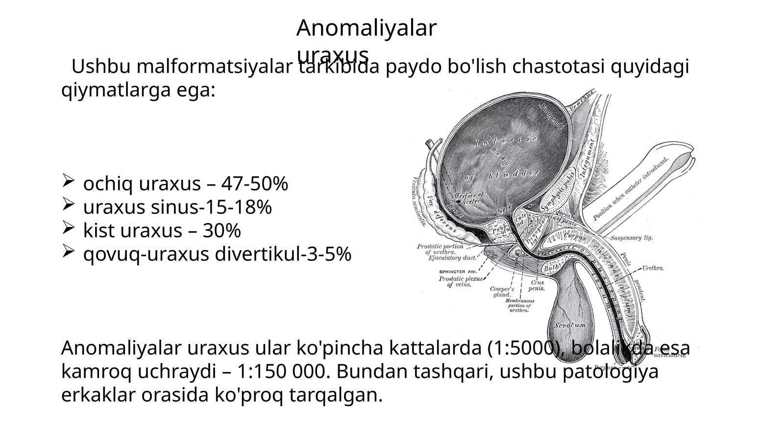 Anomaliyalar uraxus