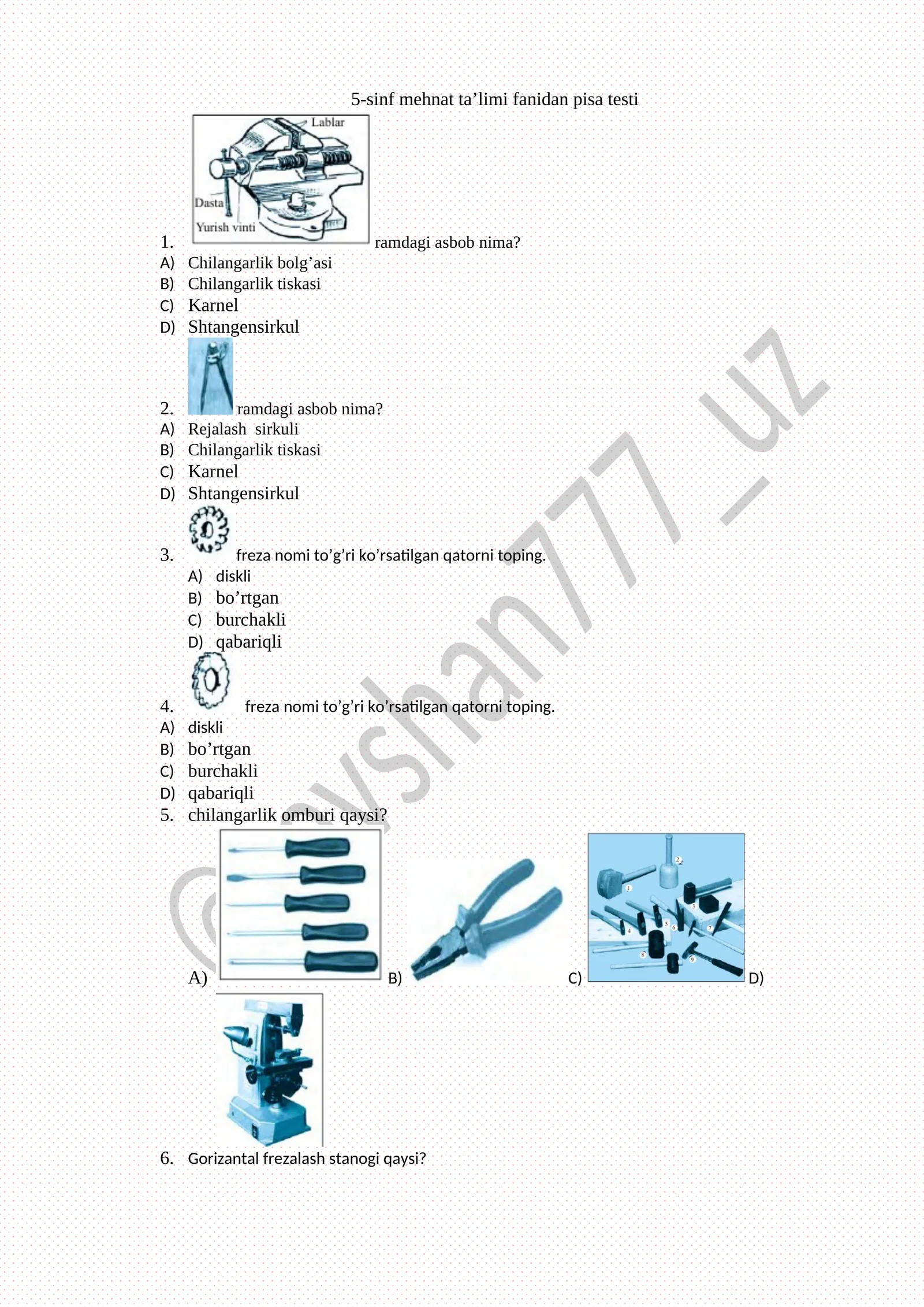 5-sinf mehnat ta’limi fanidan pisa testi
