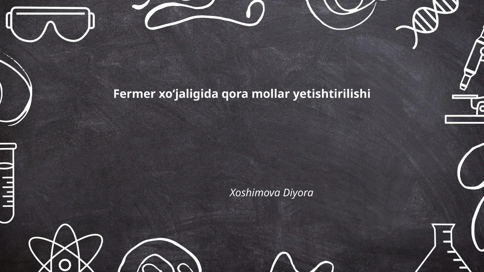 Fermer xoʻjaligida qora mollar yetishtirilishi