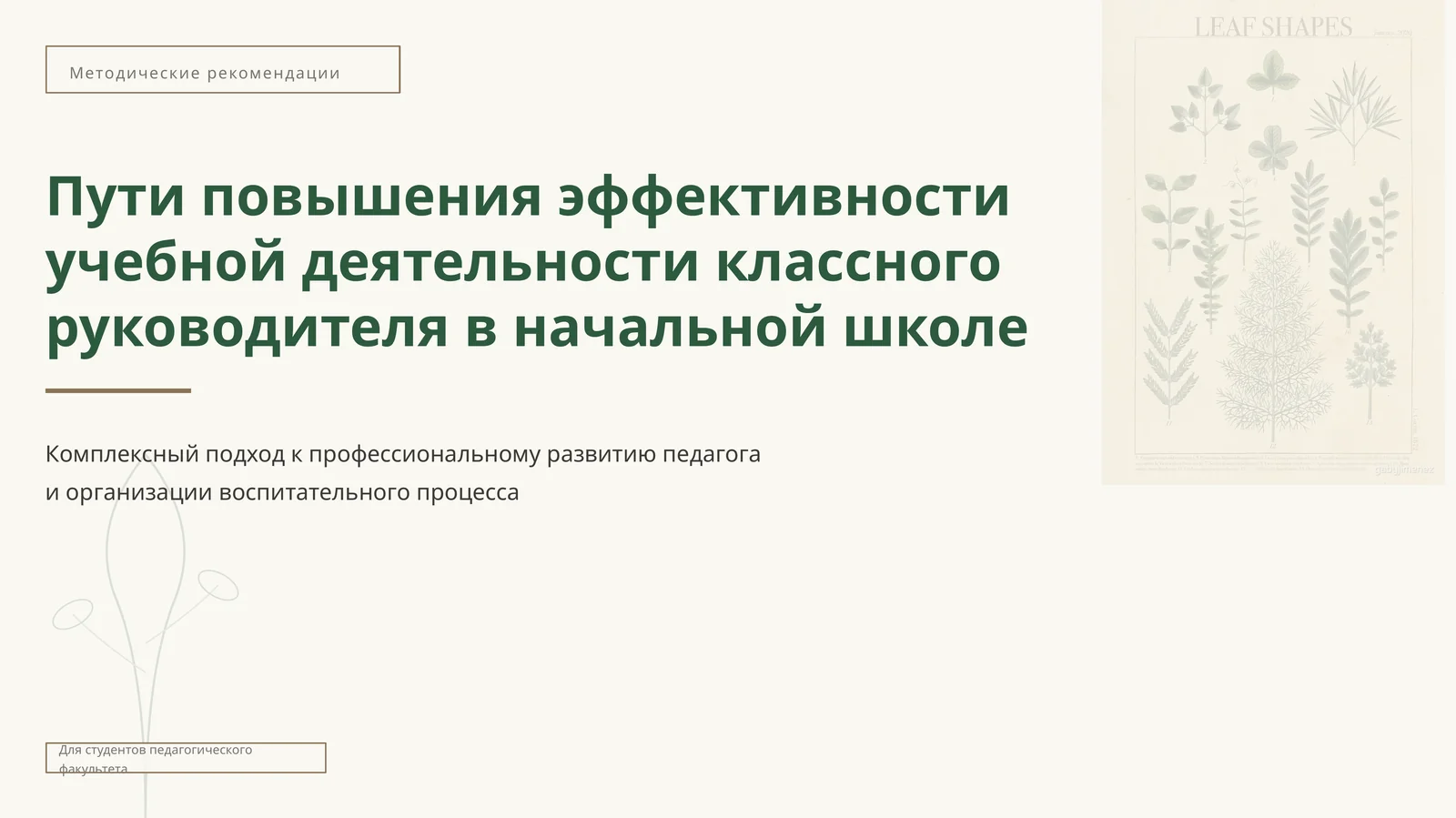 Пути повышения эффективности учебной деятельности классного руководителя в начальной школе
