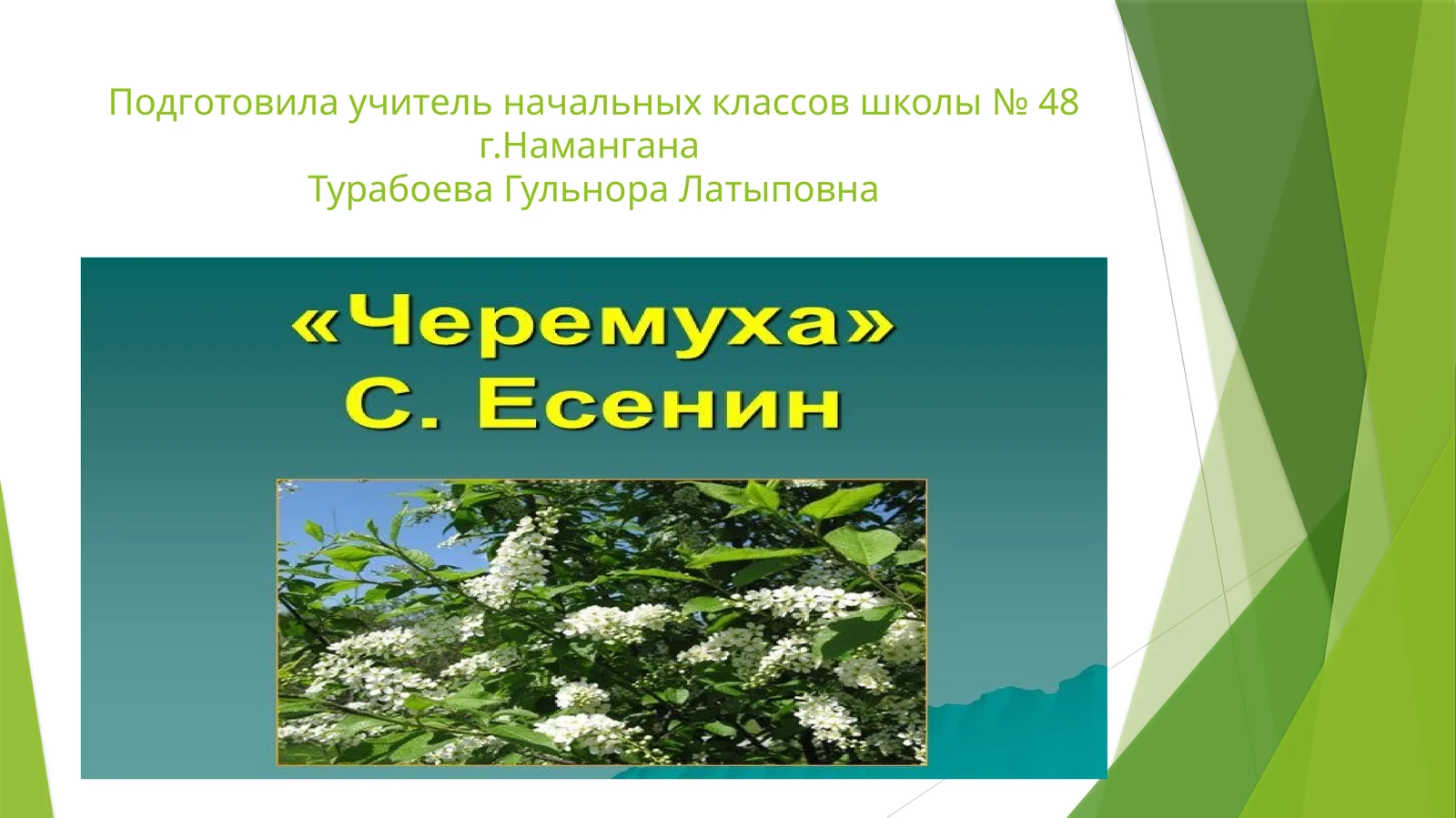 Весенняя сказка