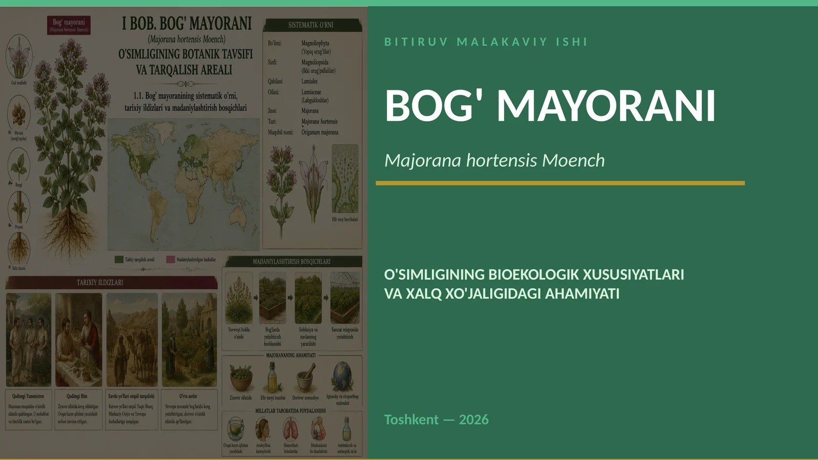 BITIRUV MALAKAVIY ISHI