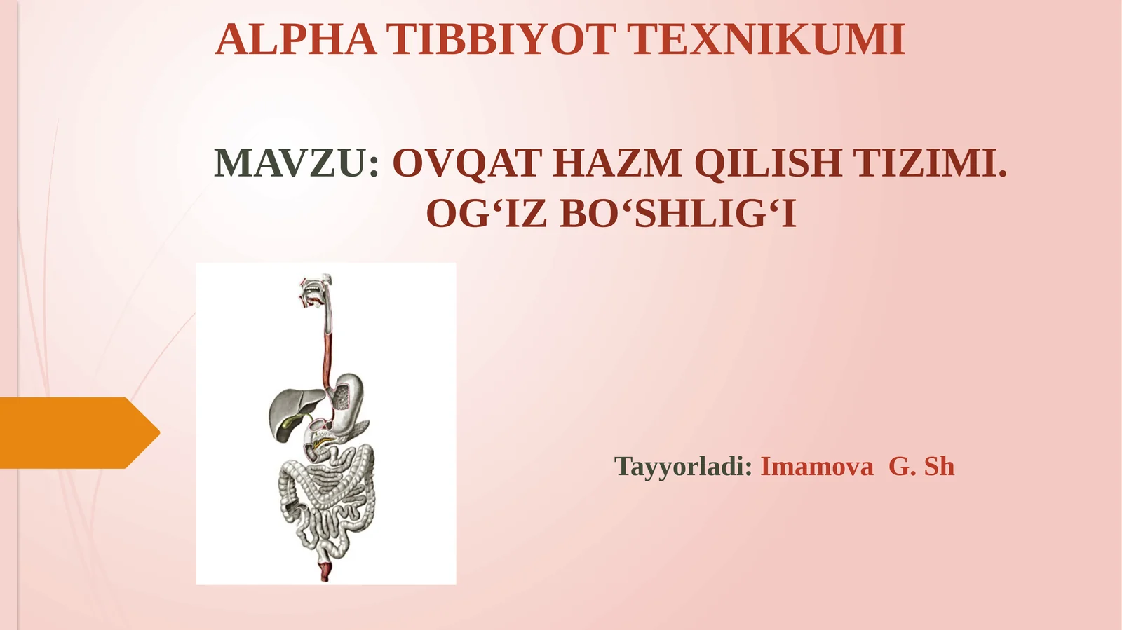 OVQAT HAZM QILISH TIZIMI.OG‘IZ BO‘SHLIG‘I