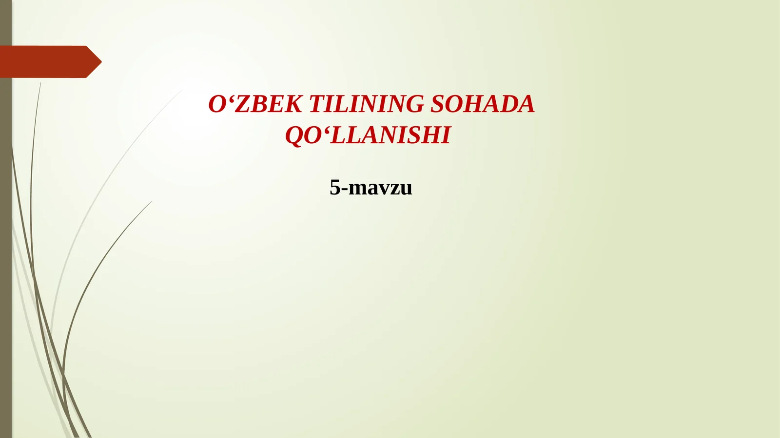 O‘ZBEK TILINING SOHADA QO‘LLANISHI5-mavzu MATN VA UNING TURLARI