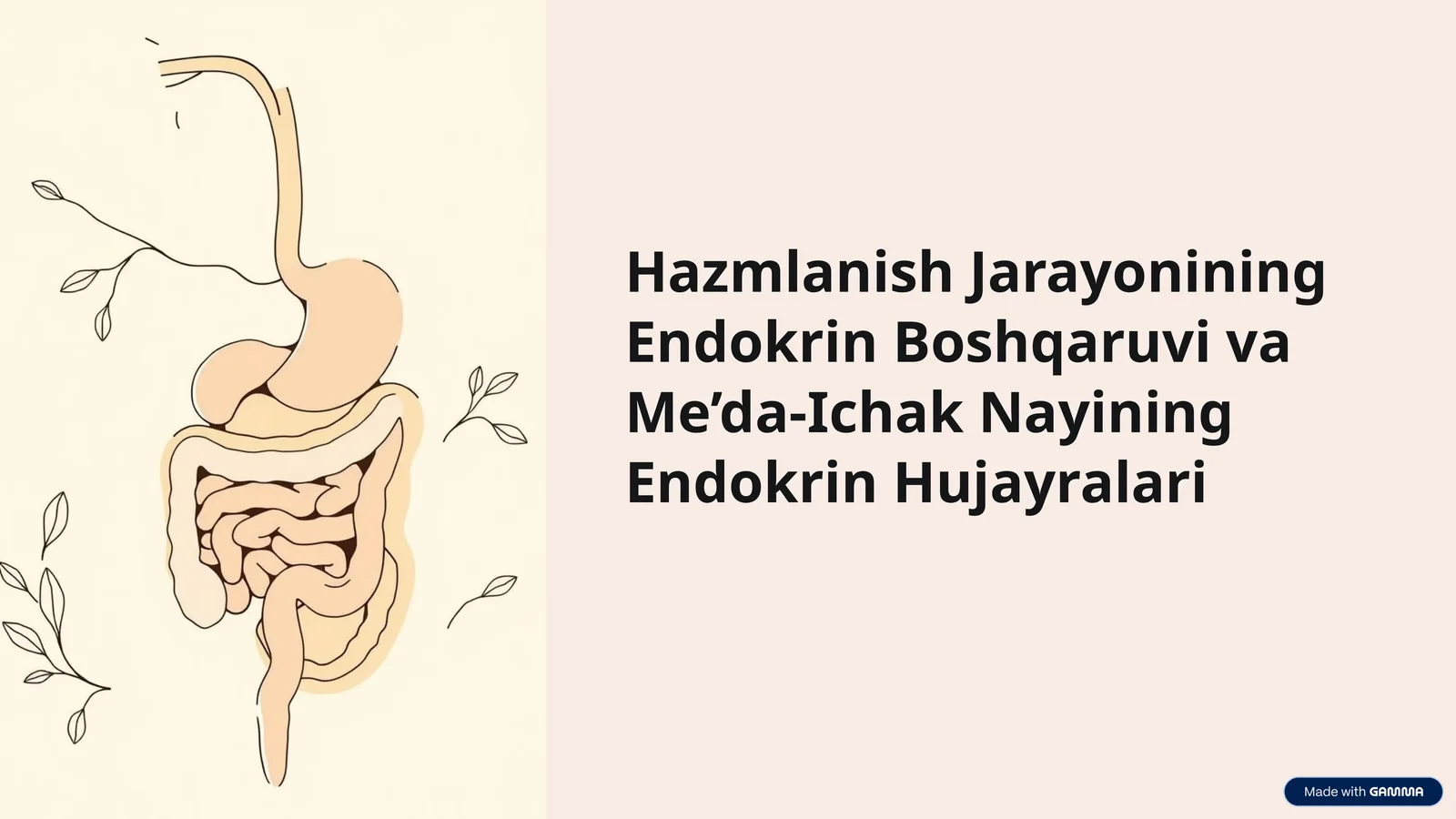 Hazmlanish Jarayonining Endokrin Boshqaruvi va Me’da-Ichak Nayining Endokrin Hujayralari