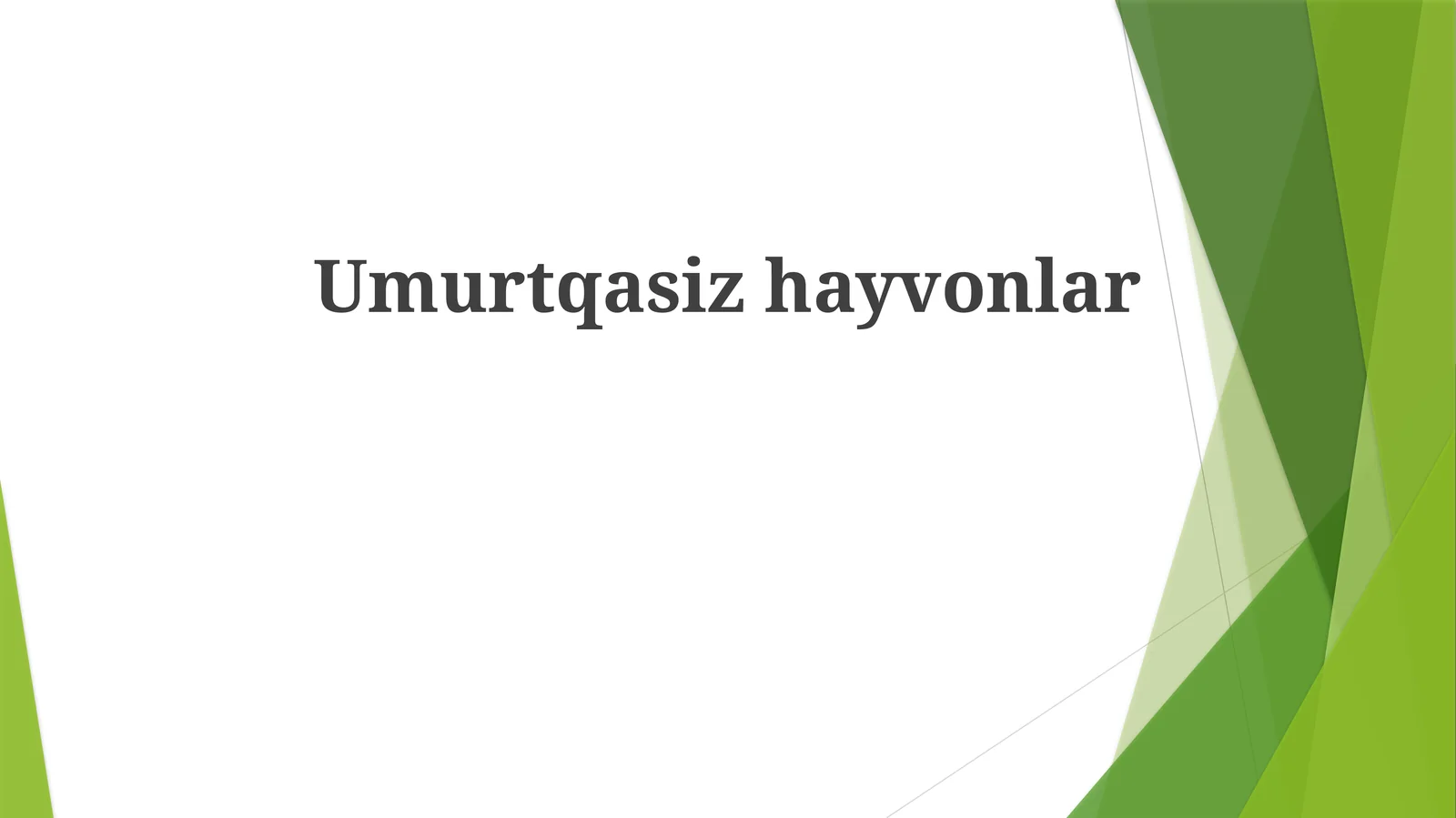 Umurtqasiz hayvonlar