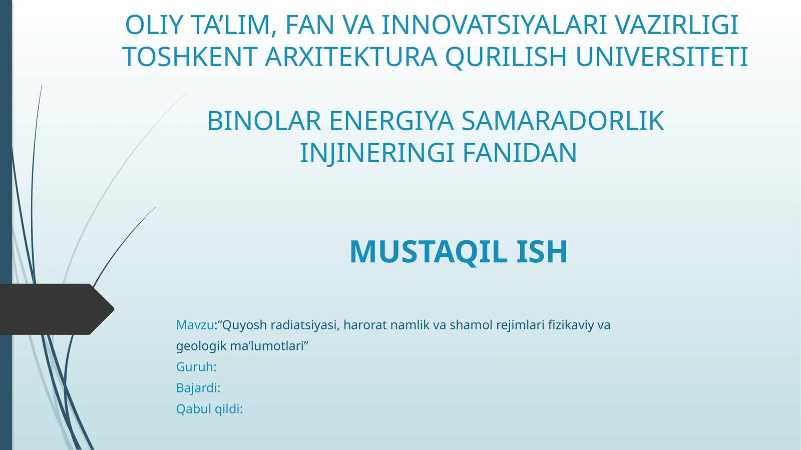 Mustaqil ish