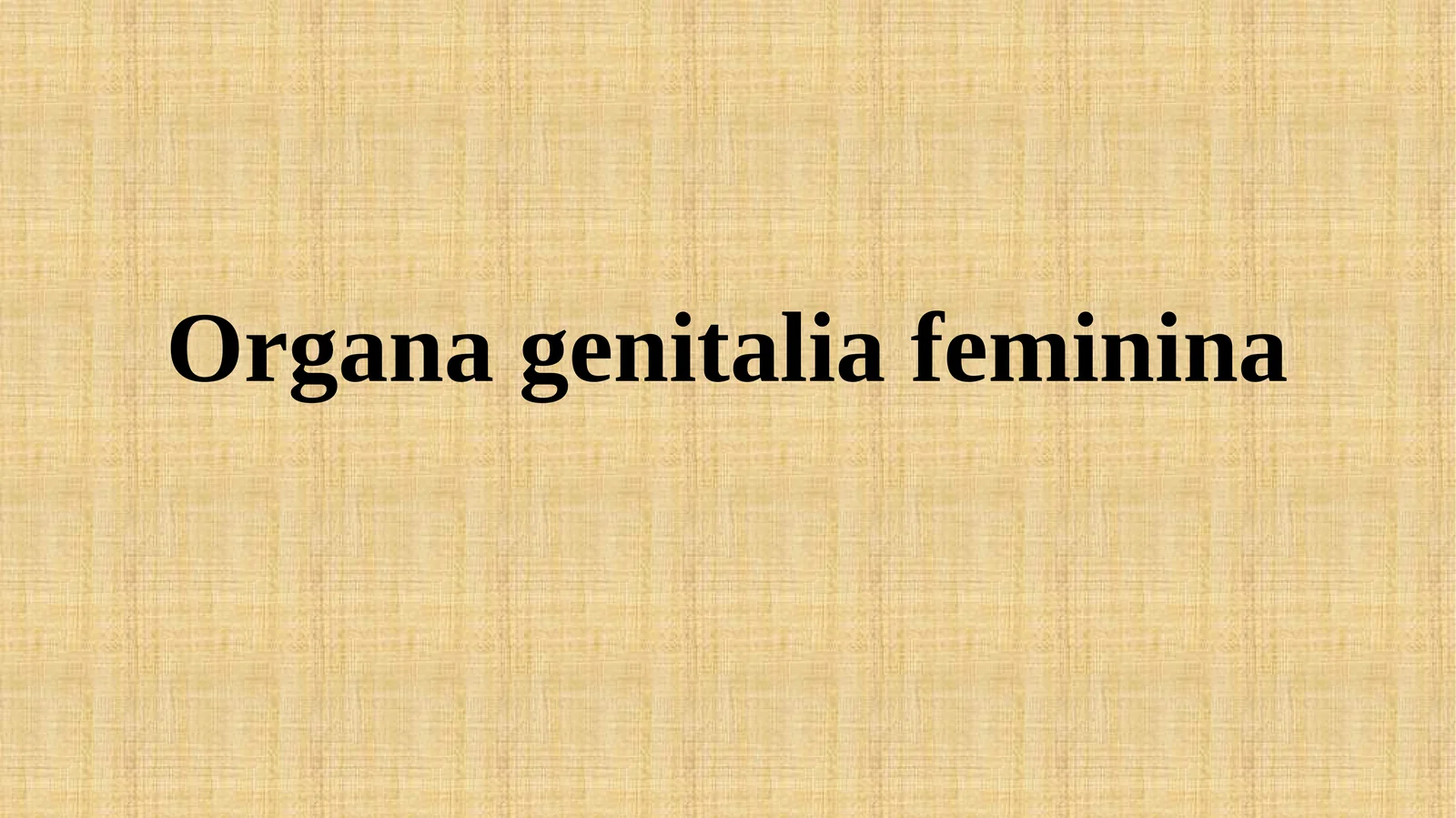 Organa genitaliafeminina