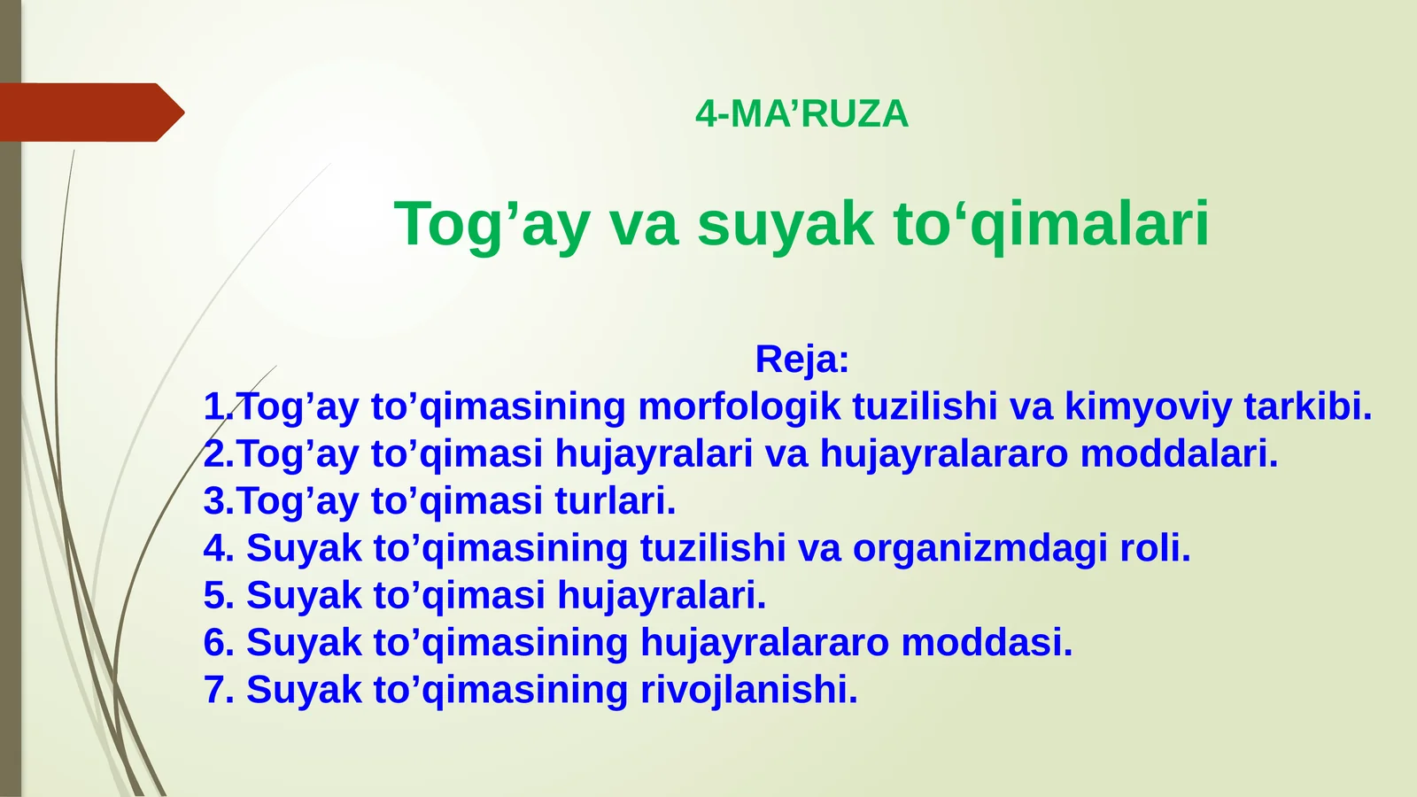 Tog’ay va suyak to’qimalari