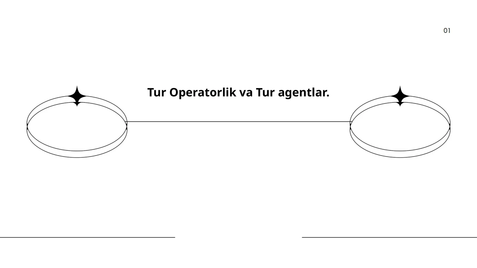 Tur Operatorlik va Tur agentlar