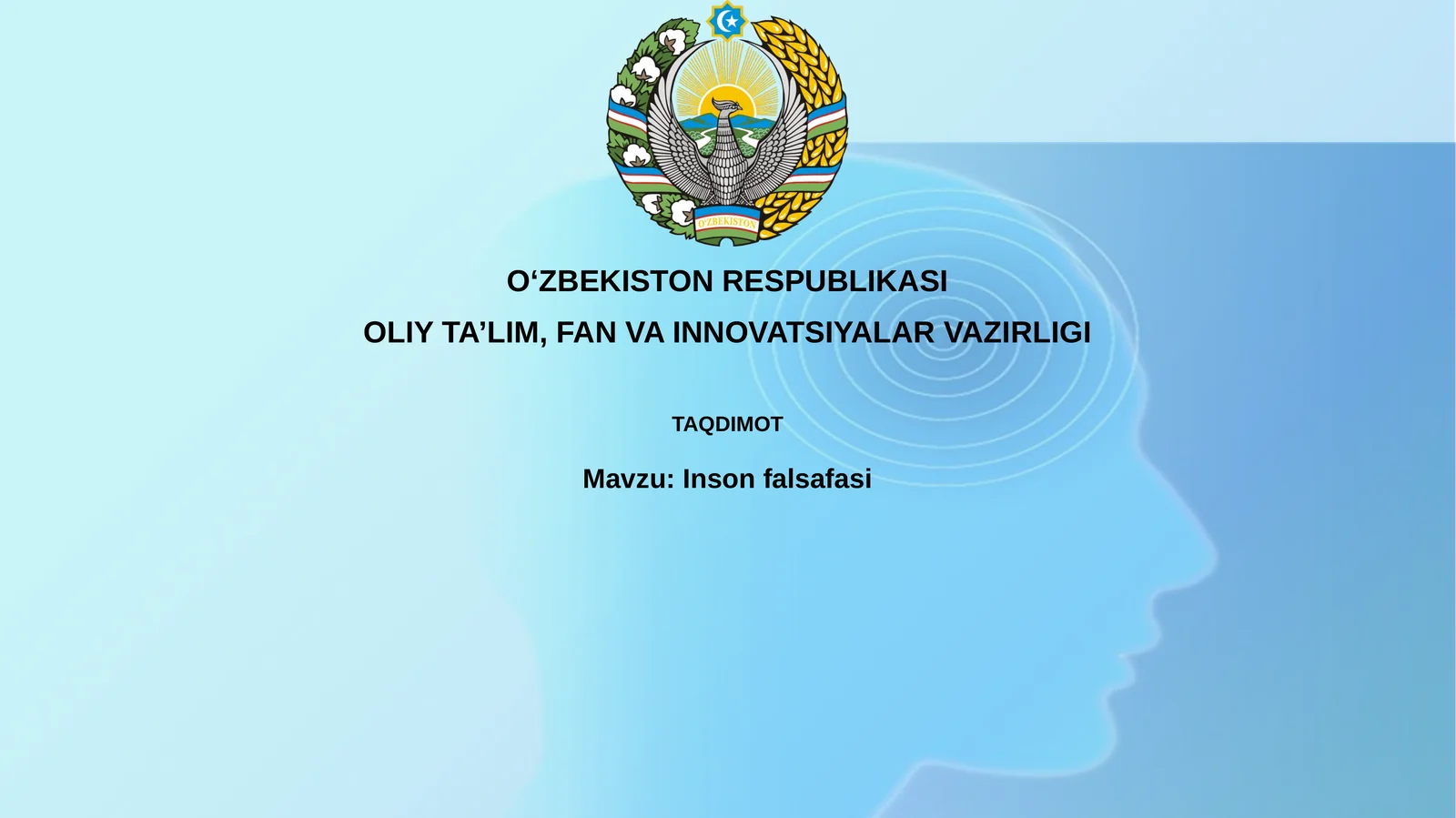 Insonfalsafasi