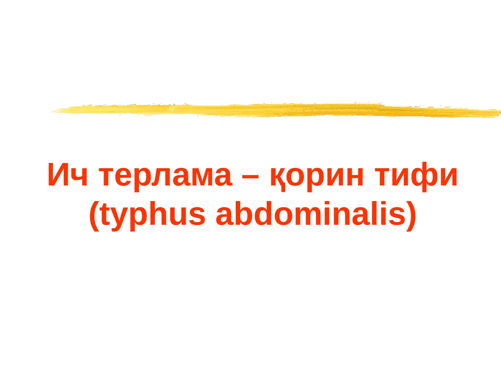 ICH TERLAMA QORIN TIFI (typhus abdominalis)