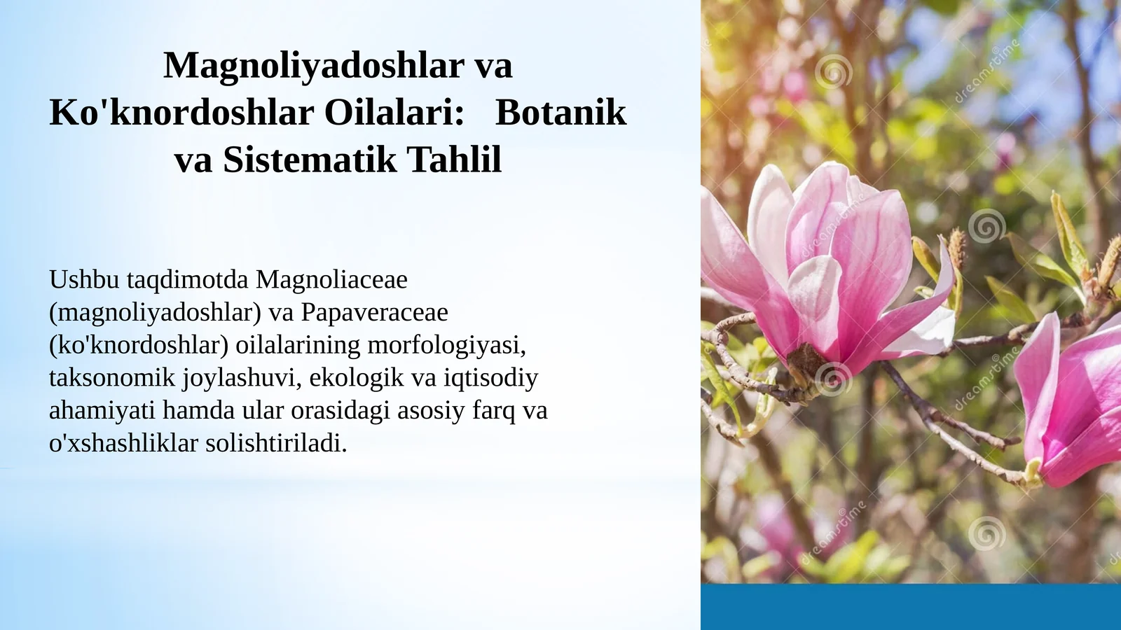 MagnoliyadoshlarvaKo'knordoshlarOilalari:Botanikva Sistematik Tahlil